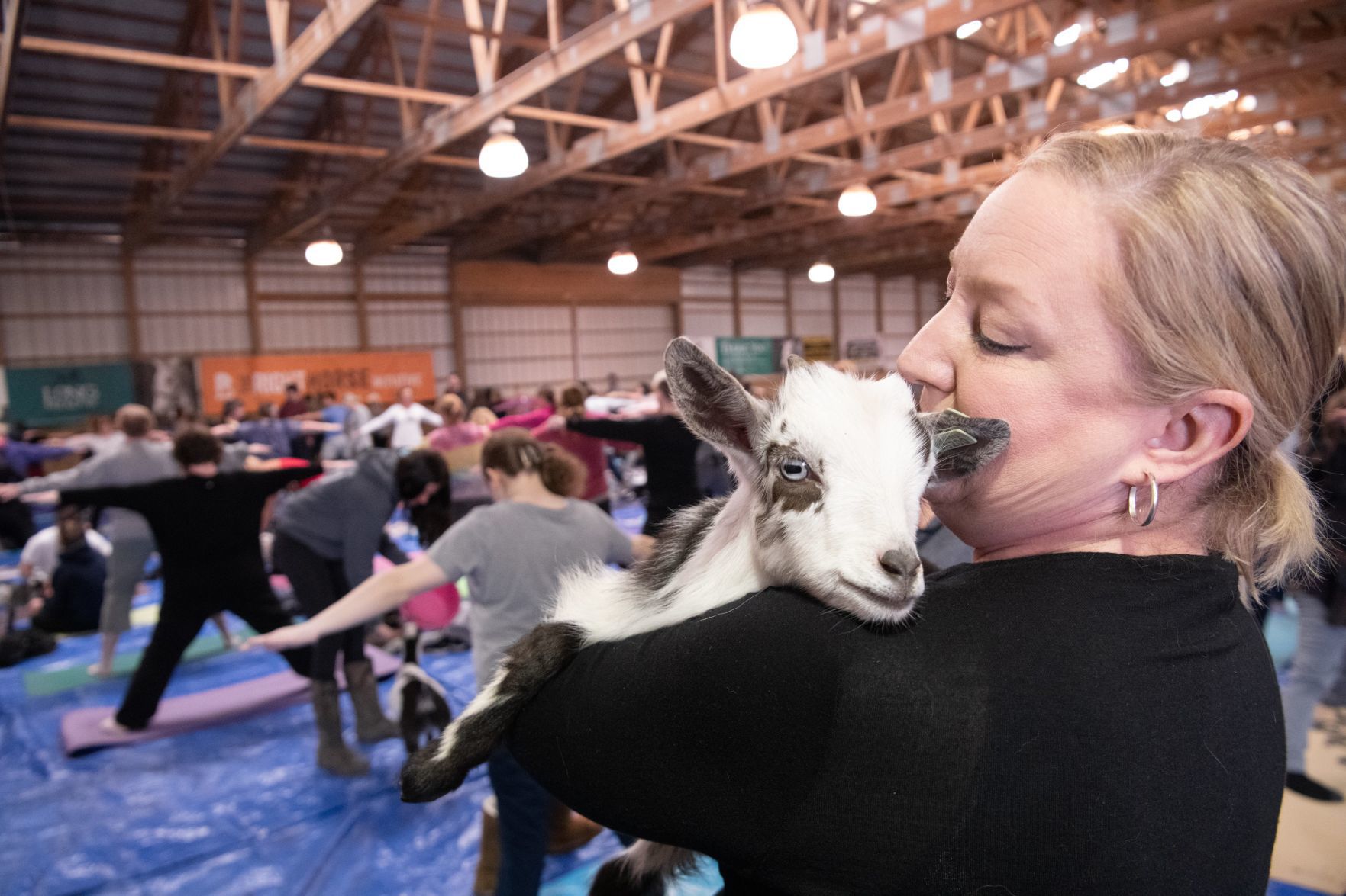 Baby goat yoga at Longmeadow Rescue Ranch
